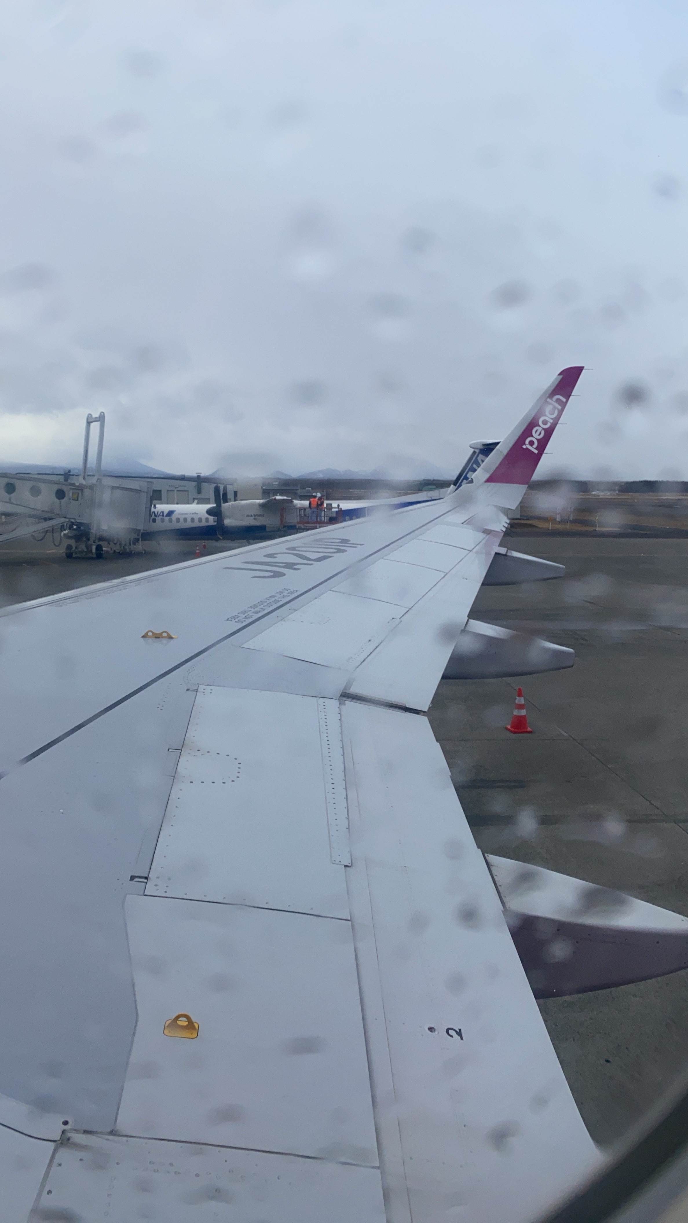 ピーチ（Peach）の格安航空券・国内線の飛行機チケット予約なら
